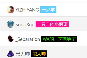 DTOJ徽章
